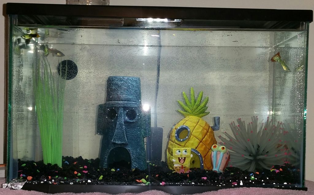 water changes for unfiltered tank Tropical Fish Keeping